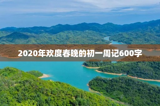2020年欢度春晚的初一周记600字
