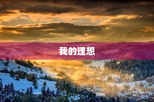 我的理想