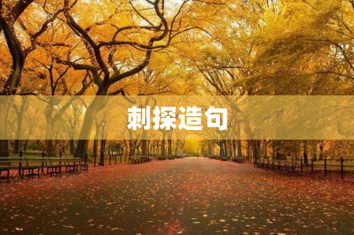 刺探造句