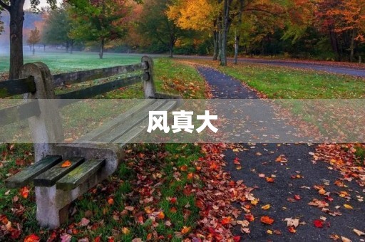 风真大