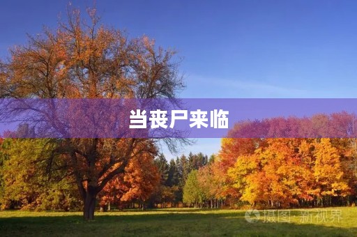 当丧尸来临