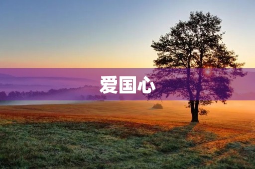 爱国心