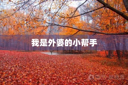 我是外婆的小帮手