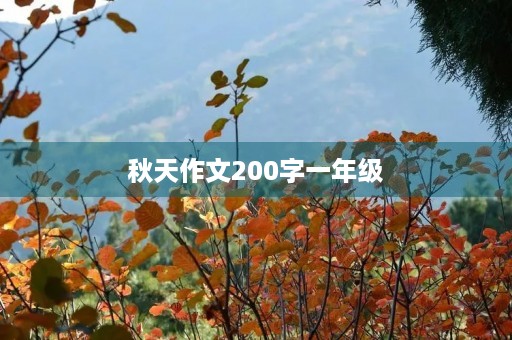 秋天作文200字一年级
