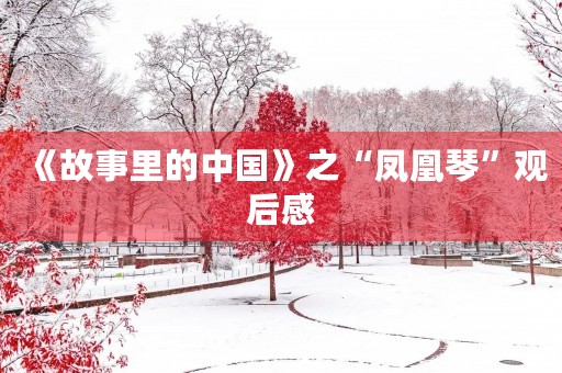 《故事里的中国》之“凤凰琴”观后感