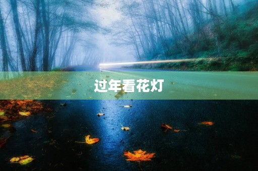 过年看花灯 过年看花灯