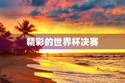 精彩的世界杯决赛 精彩的世界杯决赛