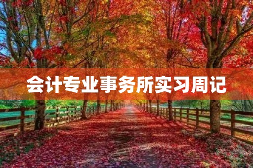 会计专业事务所实习周记