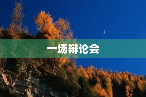 一场辩论会