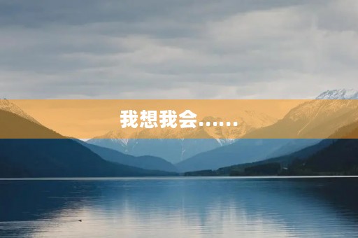 我想我会……