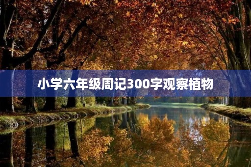 小学六年级周记300字观察植物 小学六年级周记300字观察植物