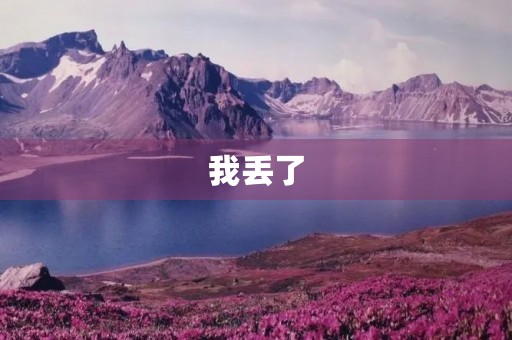 我丢了 我丢了