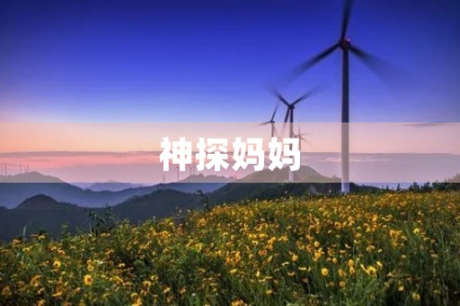 神探妈妈 神探妈妈