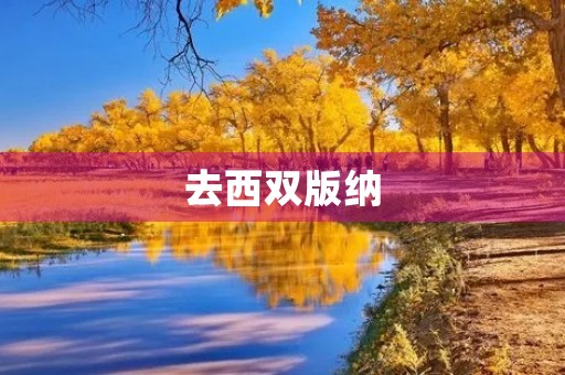 去西双版纳 去西双版纳
