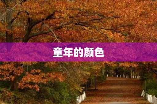 童年的颜色 童年的颜色