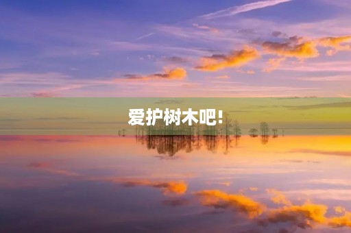 爱护树木吧!