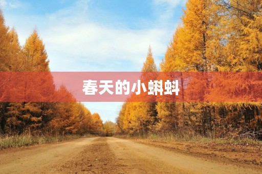 春天的小蝌蚪 春天的小蝌蚪