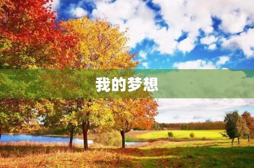 我的梦想 我的梦想