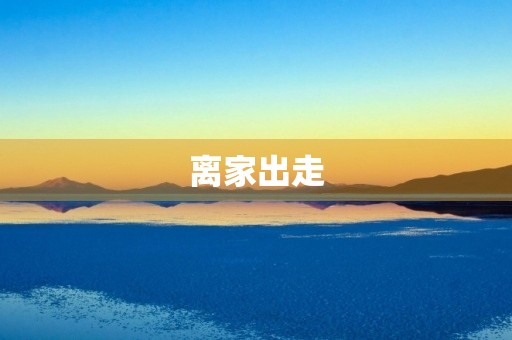 离家出走 离家出走