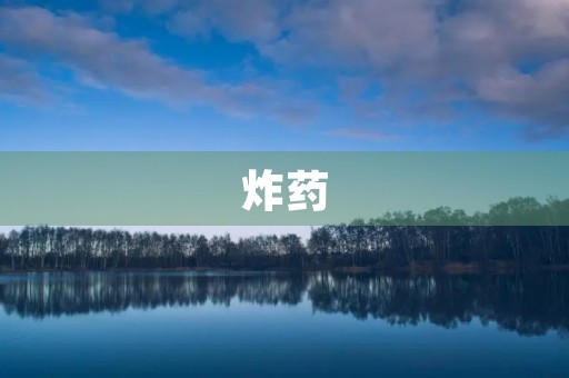 炸药 炸药