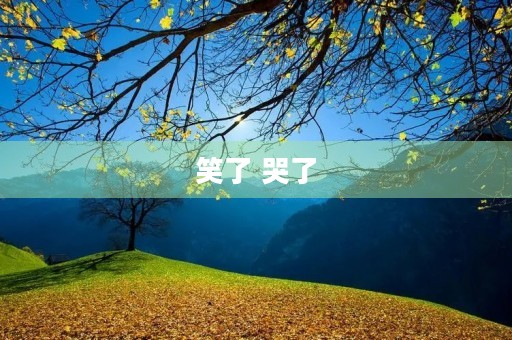 笑了 哭了 笑了 哭了