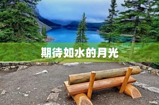 期待如水的月光 期待如水的月光