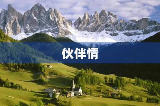 伙伴情