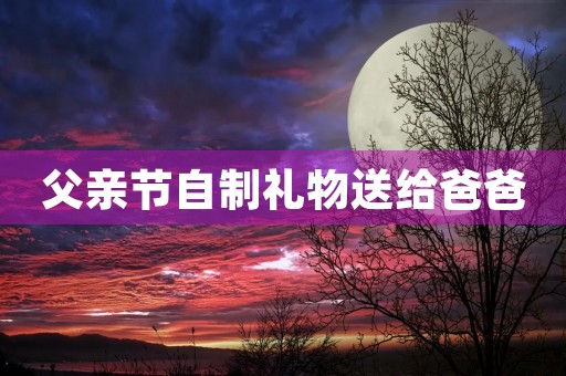 父亲节自制礼物送给爸爸 父亲节自制礼物送给爸爸
