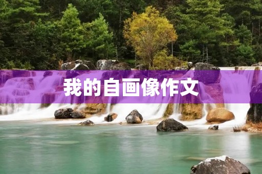 我的自画像作文