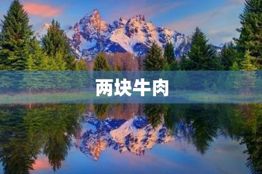 两块牛肉 两块牛肉