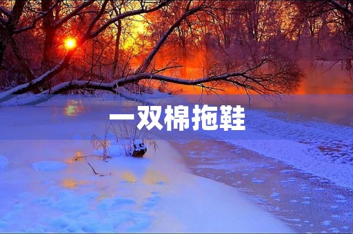 一双棉拖鞋 一双棉拖鞋