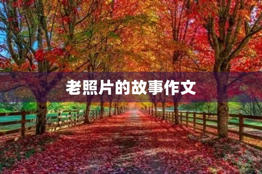 老照片的故事作文 老照片的故事作文