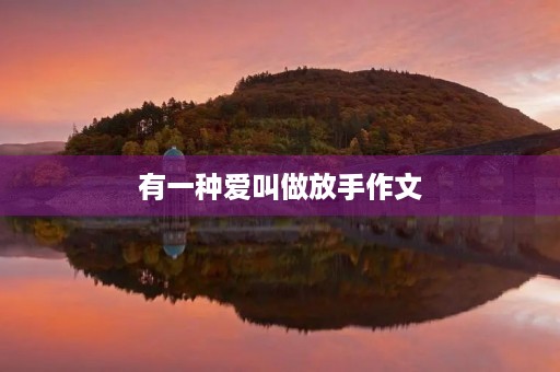 有一种爱叫做放手作文 有一种爱叫做放手作文