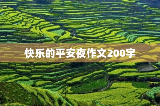 快乐的平安夜作文200字 快乐的平安夜作文200字