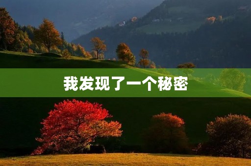 我发现了一个秘密 我发现了一个秘密