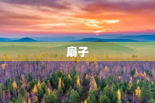 扇子 扇子