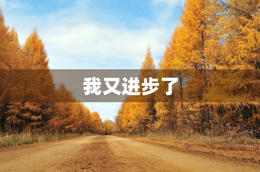 我又进步了 我又进步了
