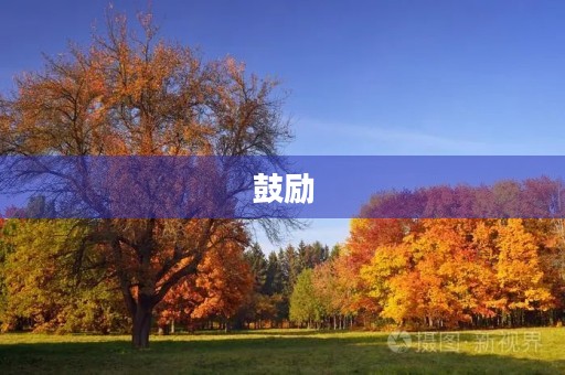鼓励 鼓励