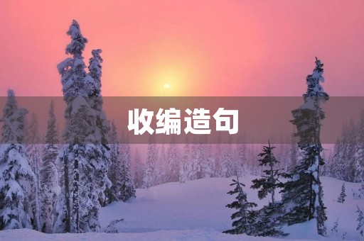 收编造句