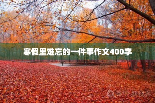 寒假里难忘的一件事作文400字