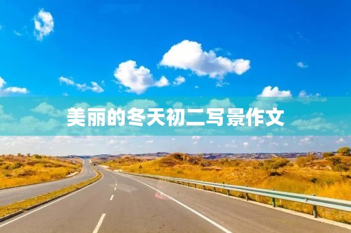 美丽的冬天初二写景作文