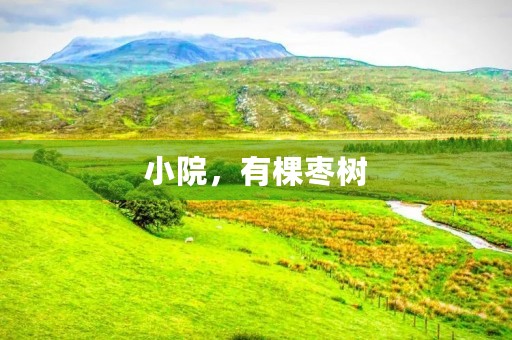小院,有棵枣树 小院,有棵枣树