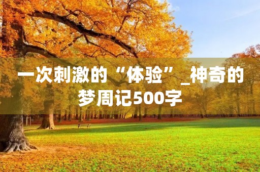 一次**的“体验”_神奇的梦周记500字
