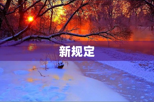 新规定 新规定