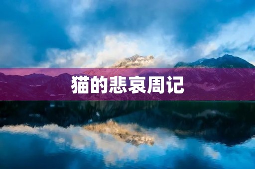 猫的悲哀周记