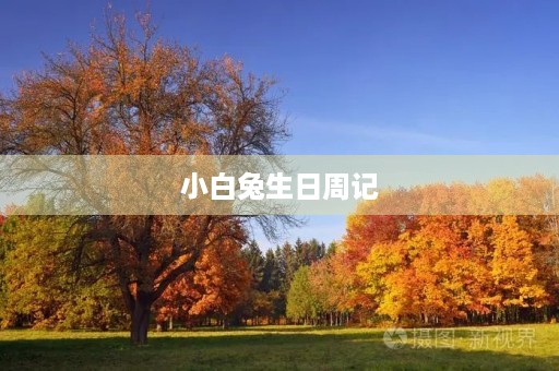 小白兔生日周记 小白兔生日周记