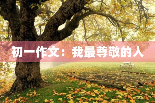 初一作文:我最尊敬的人 初一作文:我最尊敬的人