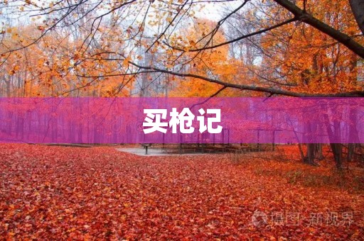 买枪记