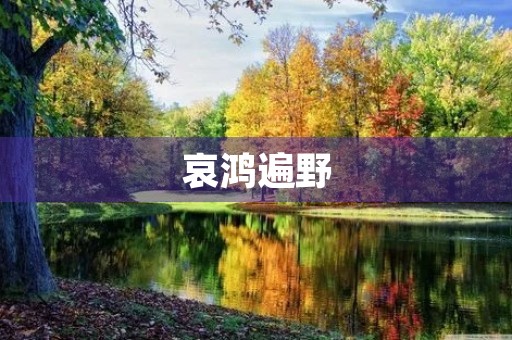 哀鸿遍野 哀鸿遍野