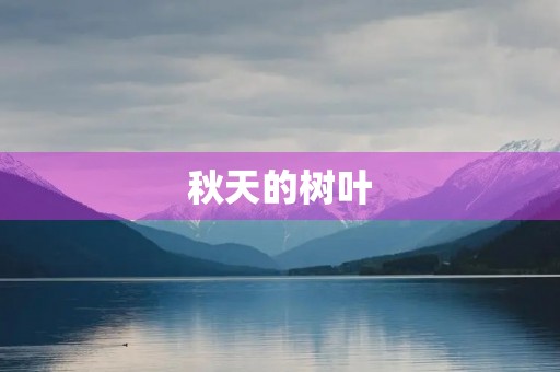 秋天的树叶 秋天的树叶